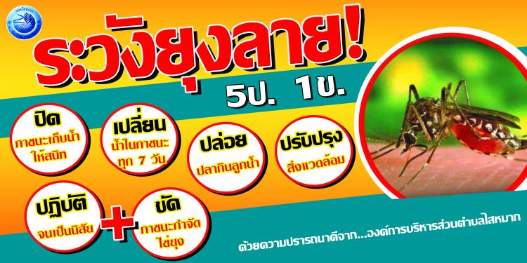 óç���ͧ�ѹ��ФǺ����ä�����ʹ�͡