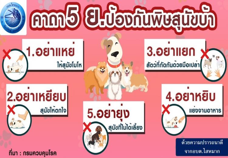 �Ҷ� 5 �.��ͧ�ѹ����عѢ���